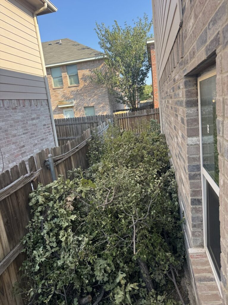 A narrow side yard filled with cut tree branches and brush, ready for removal by Texas Junk Masters in Fort Worth, TX.