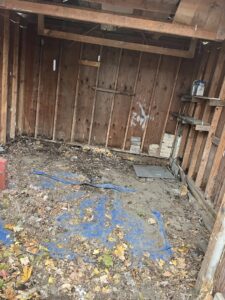 A shed interior, now clean and empty, after a junk removal and cleanout service by JDog Junk Removal & Hauling in Columbus, OH.