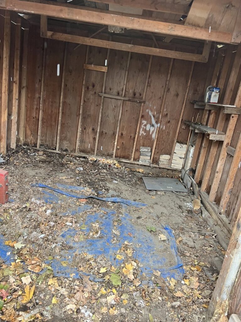A shed interior, now clean and empty, after a junk removal and cleanout service by JDog Junk Removal & Hauling in Columbus, OH.