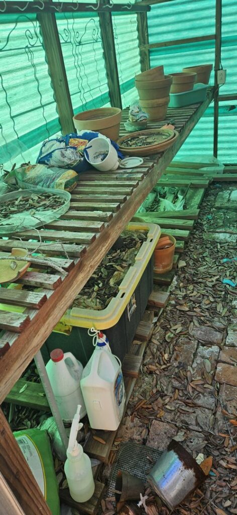 A cluttered greenhouse with pots, leaves, and various debris, indicating a cleanout by Clear Your Junk - Pearland in Houston, TX.