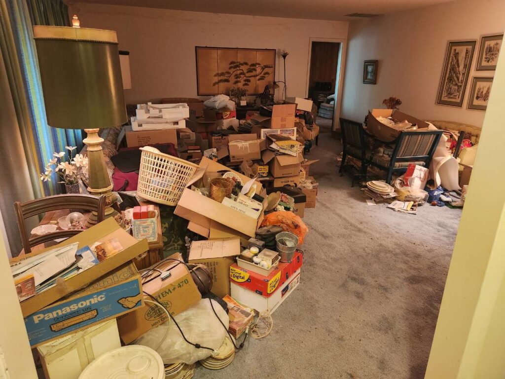 A heavily cluttered living room filled with boxes and miscellaneous items, indicating a large junk removal job by ABC Junk Removal & Hauling in Westfield, IN.