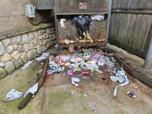 A commercial dumpster area with a significant amount of scattered trash on the ground, requiring cleanup by Purefoy's Professionals in Columbus, OH.