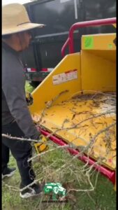 An A&J Removal Service employee feeding branches into a wood chipper for yard waste removal in San Antonio, TX.