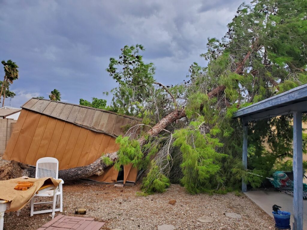 A large fallen tree on a backyard shed, requiring cleanup and removal services from J & R Junk Removal in Phoenix, AZ.