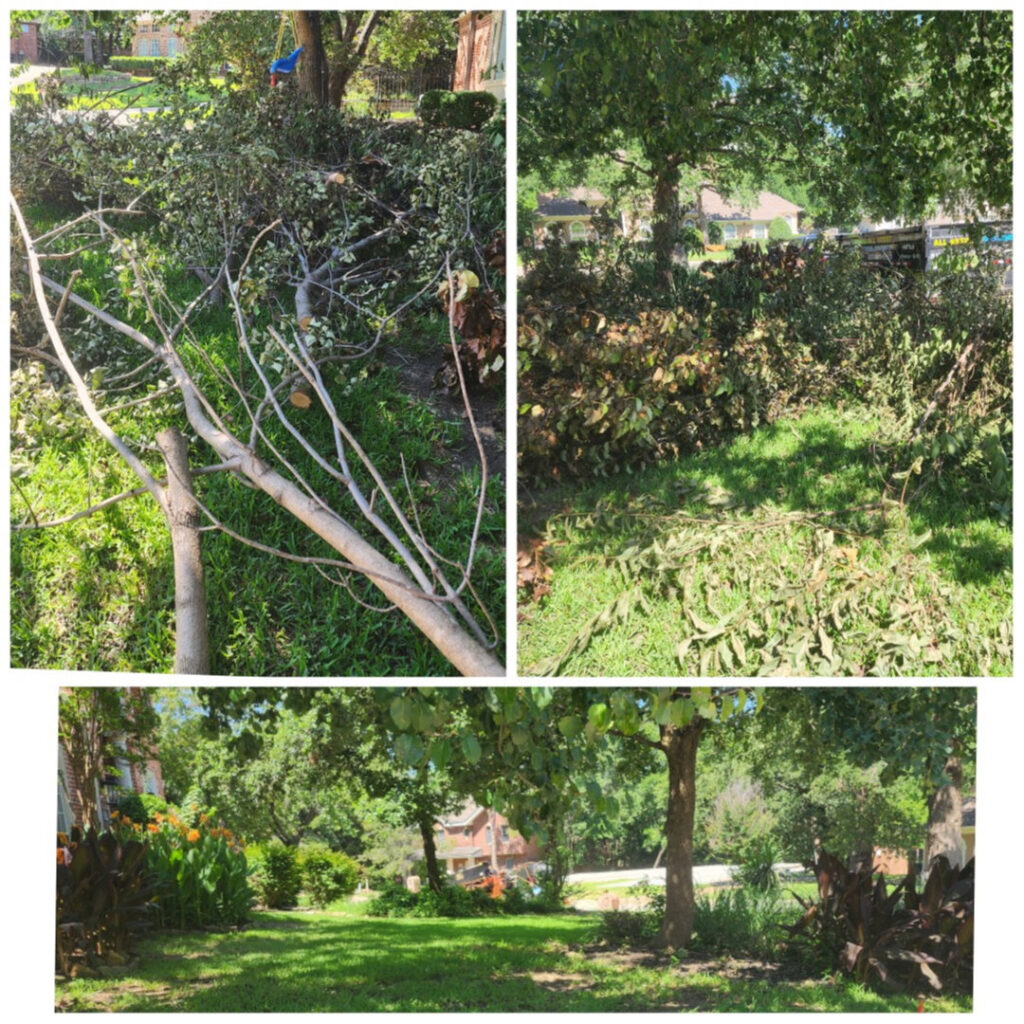 A junk removal trailer from All Needz Junk Removal & Hauling Service in Dallas, TX, loaded with debris outside a residential home.