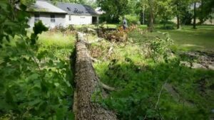 A large fallen tree trunk and branches in a grassy area, ready for general junk removal by Schott Services in Indianapolis, IN.