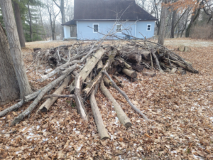 A large pile of tree branches and logs on the ground, ready for general junk removal by Schott Services in Indianapolis, IN.