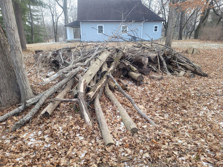 A large pile of tree branches and logs on the ground, ready for general junk removal by Schott Services in Indianapolis, IN.