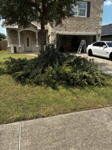 A large pile of trimmed bushes and branches in a residential driveway, ready for yard waste removal by Handymen Junk Removal in Houston, TX.