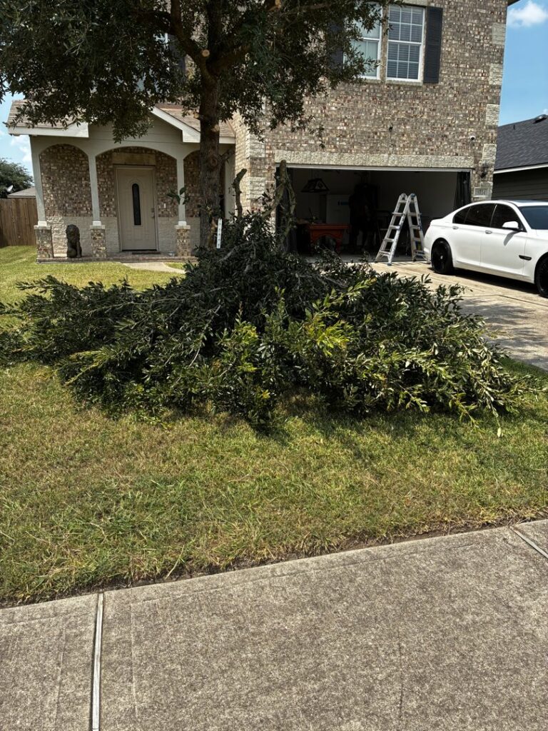 A large pile of trimmed bushes and branches in a residential driveway, ready for yard waste removal by Handymen Junk Removal in Houston, TX.