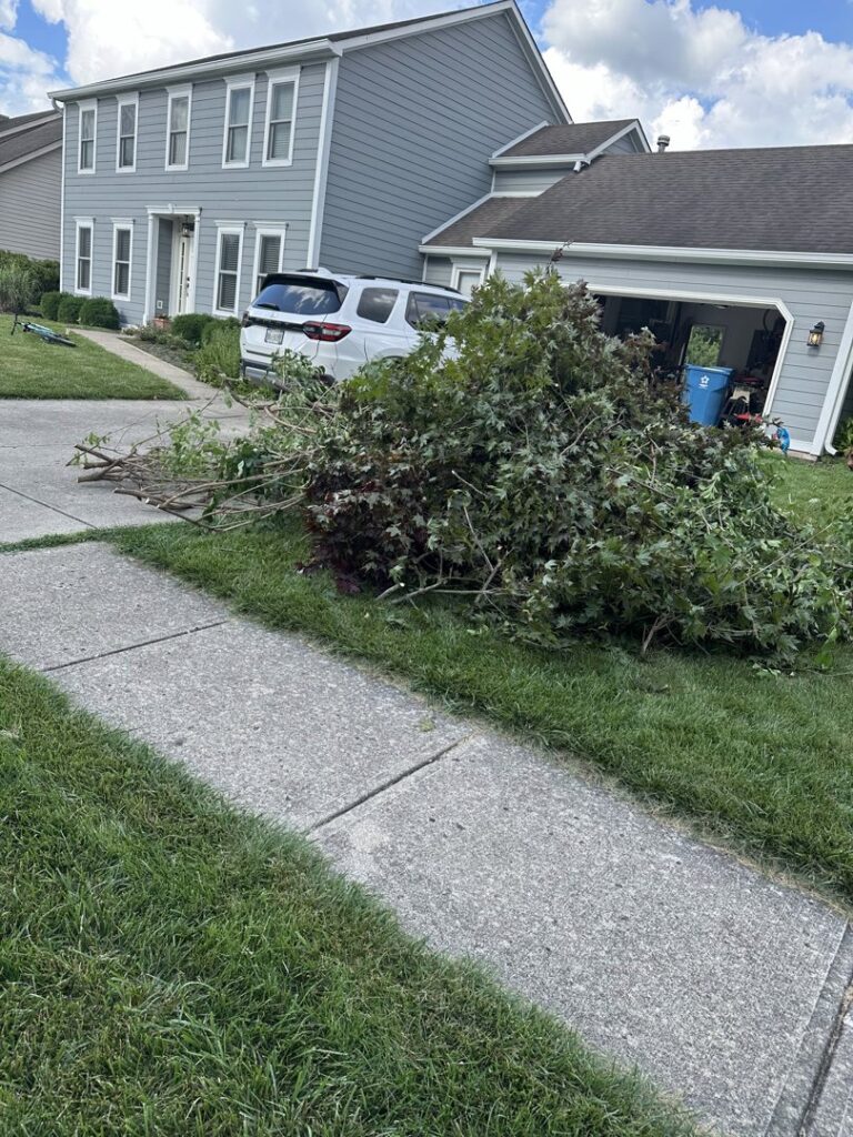 A large pile of yard waste and tree branches in a driveway, ready for removal by Indy Trash Guy in Fortville, IN.