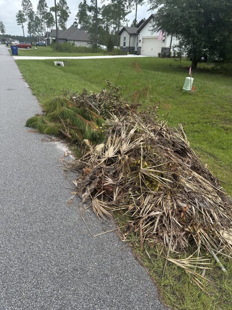 A large pile of dried palm fronds and yard waste on the side of a residential street for removal by DUMP 4 U Hauling in Jacksonville, FL