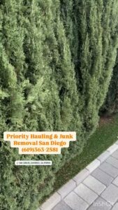 Discarded old appliances including a refrigerator, stove, and water heater placed on a lawn for removal by Priority Hauling and Junk Removal San Diego.