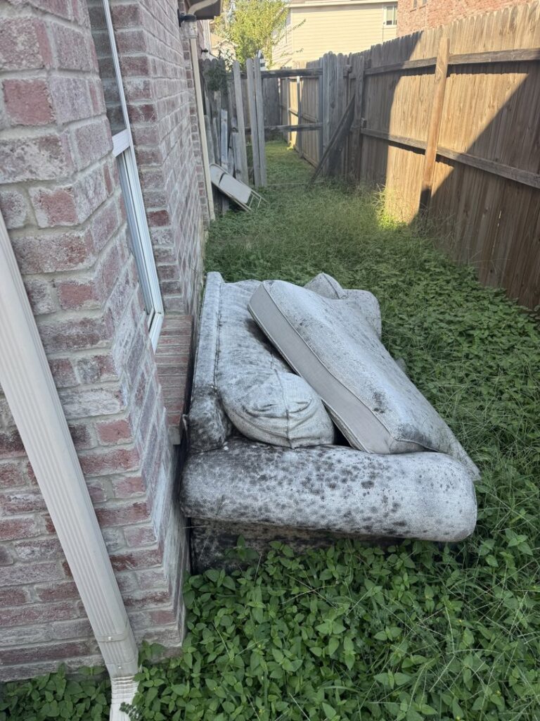 An old, moldy couch sitting in a grassy side yard, ready for furniture removal by Texas Junk Masters in Fort Worth, TX.