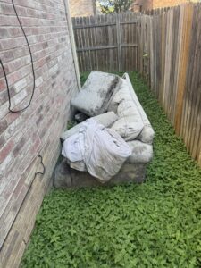 An old, moldy sofa and blankets in a grassy side yard, awaiting removal by Texas Junk Masters in Fort Worth, TX.