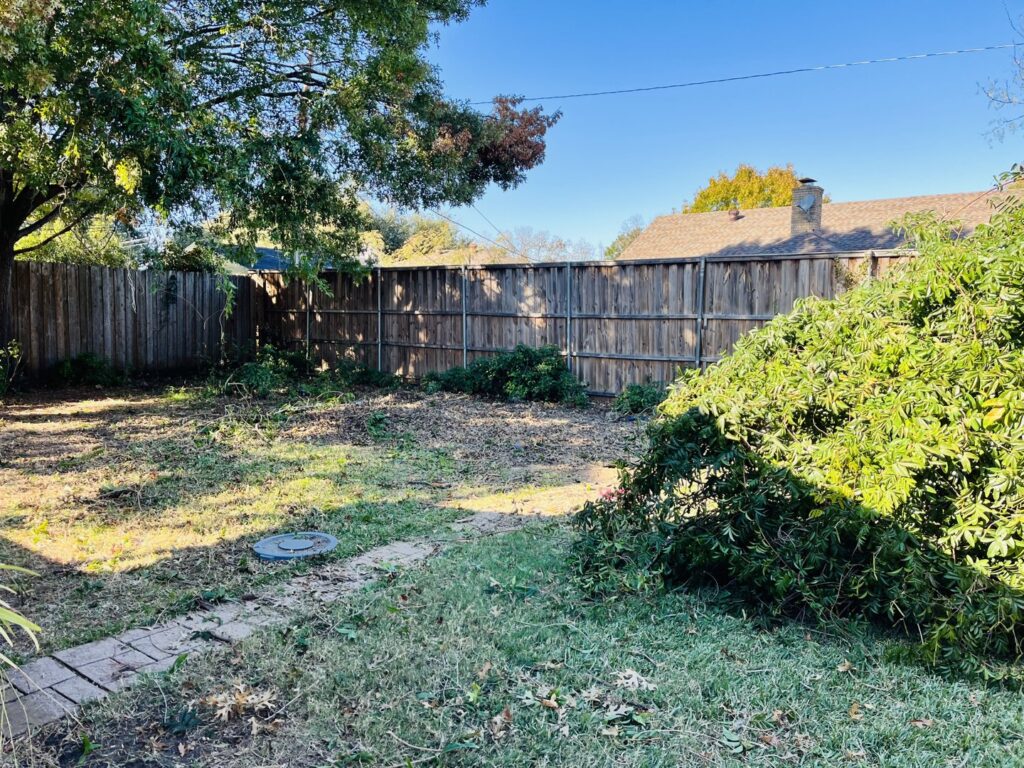 An overgrown backyard with leaves and bushes, indicating a need for yard waste removal by Hud's Haul Away in Fort Worth, TX.