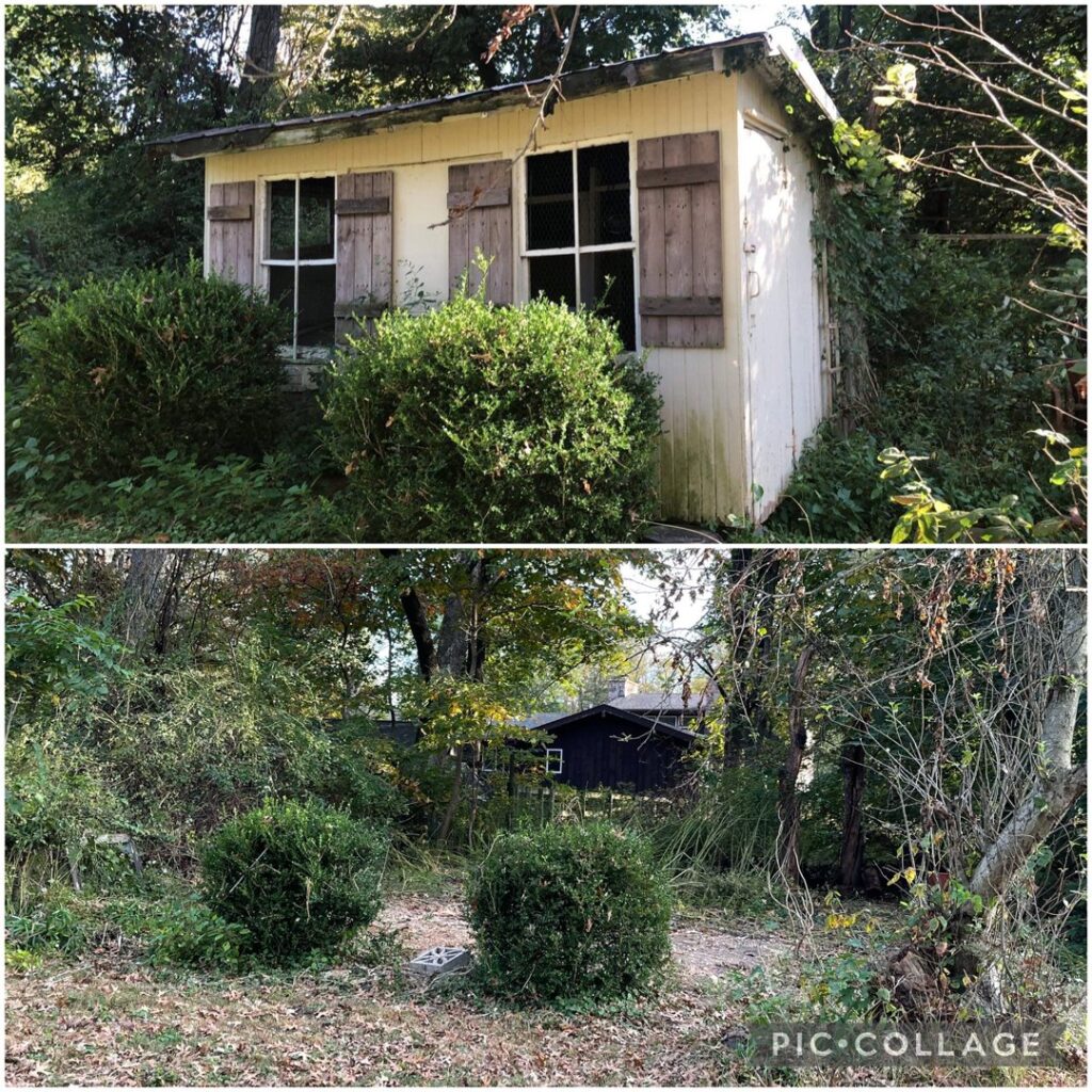 Before and after collage showing an overgrown shed and yard area cleared of dense vegetation and debris by JPC Junk Removal & Demolition in Philadelphia, PA.