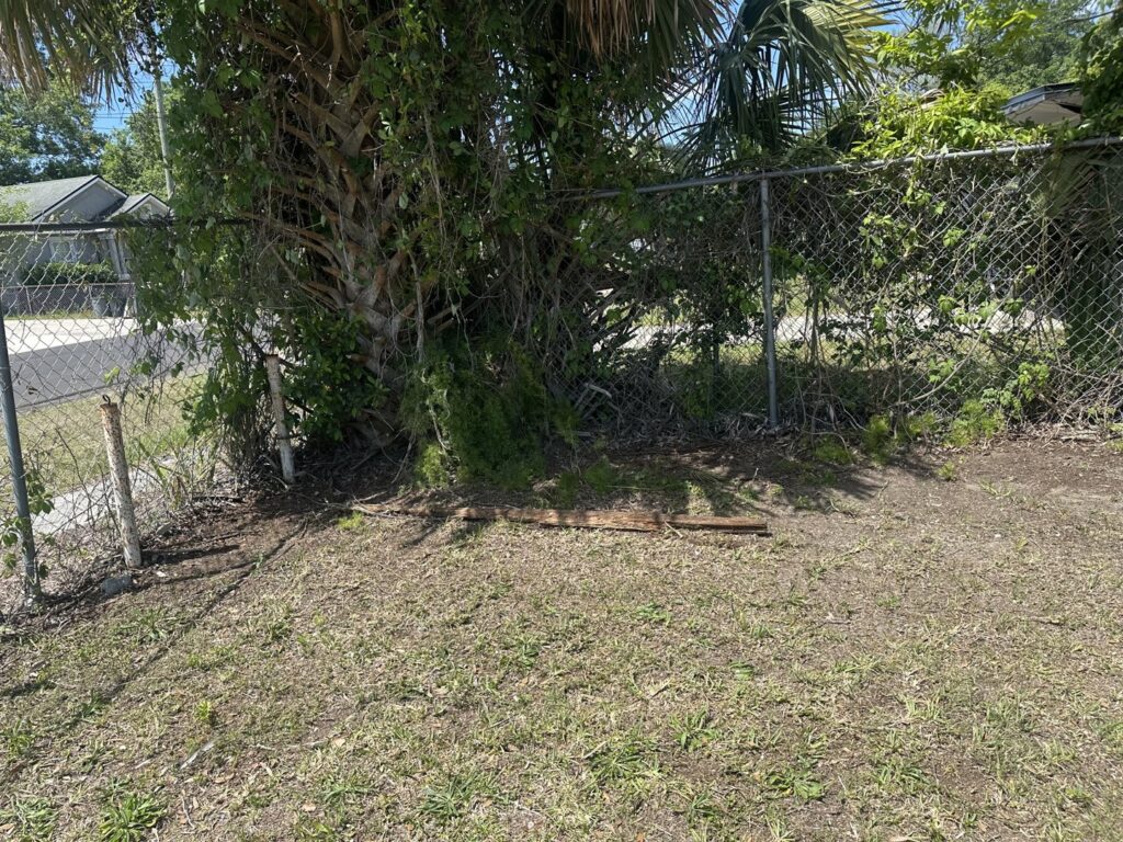 An overgrown yard with dense vegetation and debris needing removal by DUMP 4 U Hauling in Jacksonville, FL