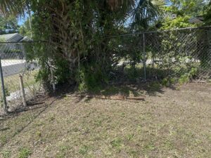 An overgrown yard with dense vegetation and debris needing removal by DUMP 4 U Hauling in Jacksonville, FL