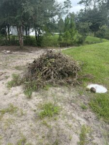 A pile of dried brush and small branches in a grassy residential area for removal by DUMP 4 U Hauling in Jacksonville, FL