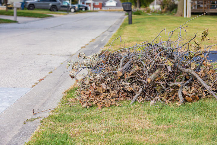 A large pile of tree branches and leaves on a residential lawn, ready for Junk King yard waste removal in Austin, TX