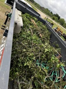 A junk removal trailer filled with green yard debris, branches, and a mattress by Junkie 4 Jesus Junk Removal in Austin, TX
