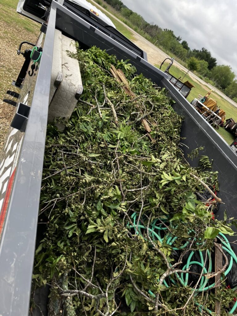 A junk removal trailer filled with green yard debris, branches, and a mattress by Junkie 4 Jesus Junk Removal in Austin, TX