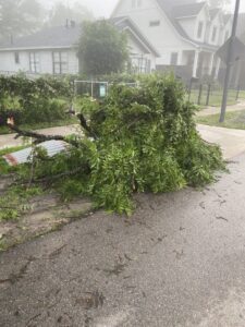 A large pile of fallen tree branches and green foliage on the side of a residential street, ready for yard debris removal by HustleTown Junk Removal in Houston, TX.