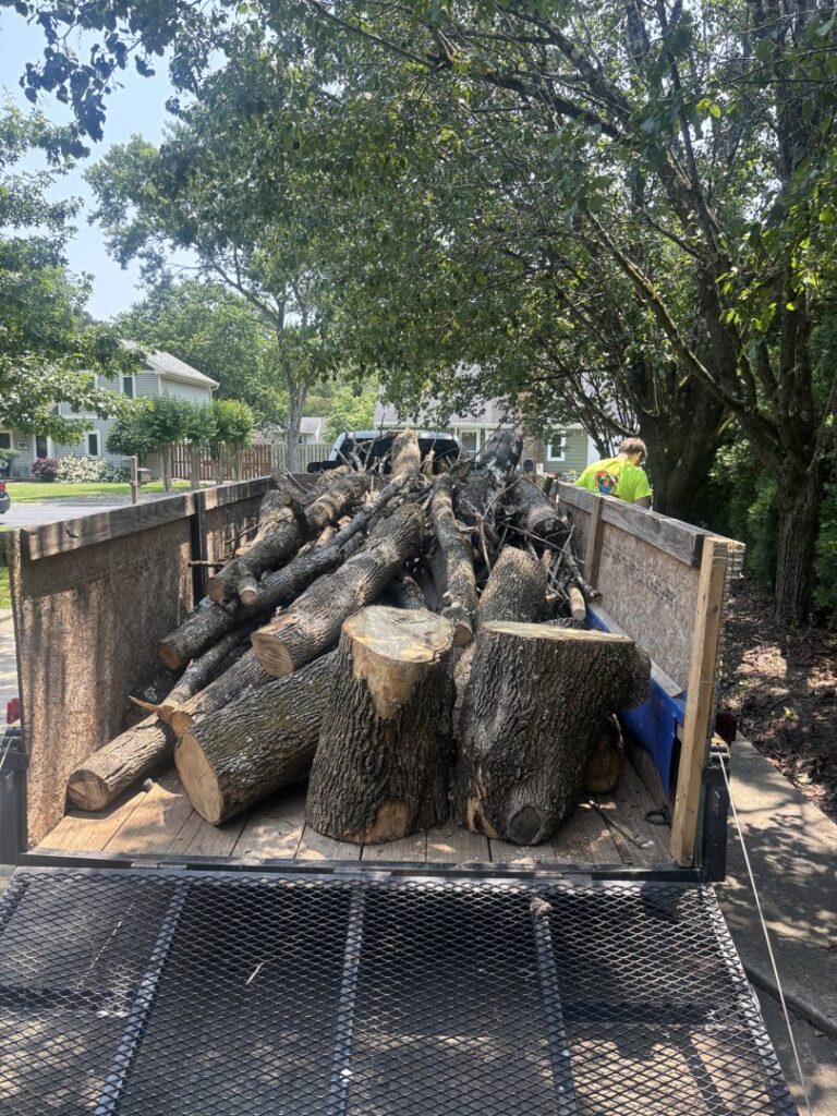 A trailer loaded with cut tree logs and trunks for removal by Big John's Demolition & Junk Removal in Charlotte, NC