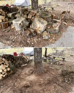Before and after photos showing a large pile of tree stumps and logs removed by Junk to Go in Philadelphia, PA.