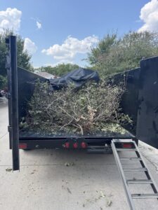 A truck bed loaded with tree branches and brush, ready for hauling by Texas Junk Masters in Fort Worth, TX.