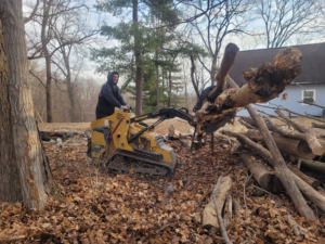 A worker from Schott Services using a skid steer with a grapple to remove large logs and branches in Indianapolis, IN.