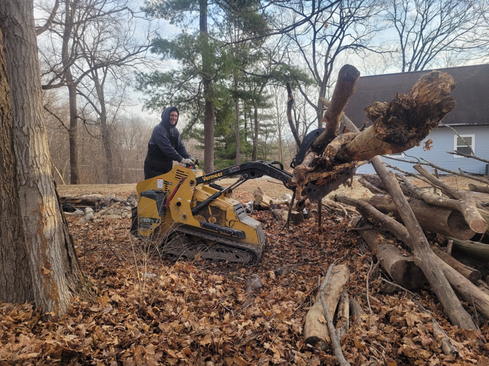 A worker from Schott Services using a skid steer with a grapple to remove large logs and branches in Indianapolis, IN.