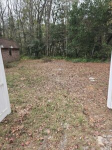 A backyard covered in leaves and debris, ready for yard clean-up and junk removal by Clean Tidy Places in Jacksonville, FL.