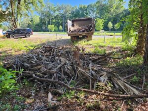 A large pile of yard waste and brush ready for pickup by The Mess Haul Junk Removal in Jacksonville, FL.