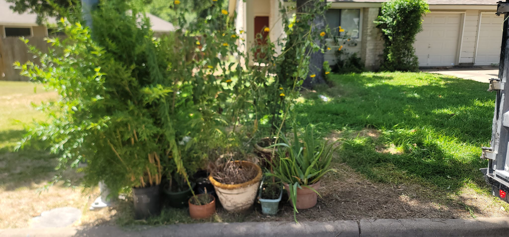 Potted plants and yard waste placed curbside for pickup by Smiley's Junk Removal & Recycling in Austin, TX.