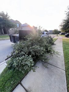 A pile of tree branches and yard waste on the curb, ready for City to City Junk Removal in Fort Worth, TX.