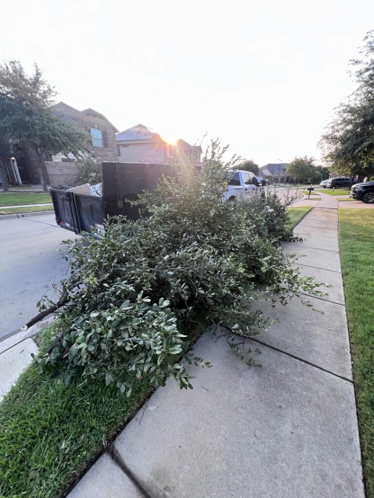 A pile of tree branches and yard waste on the curb, ready for City to City Junk Removal in Fort Worth, TX.